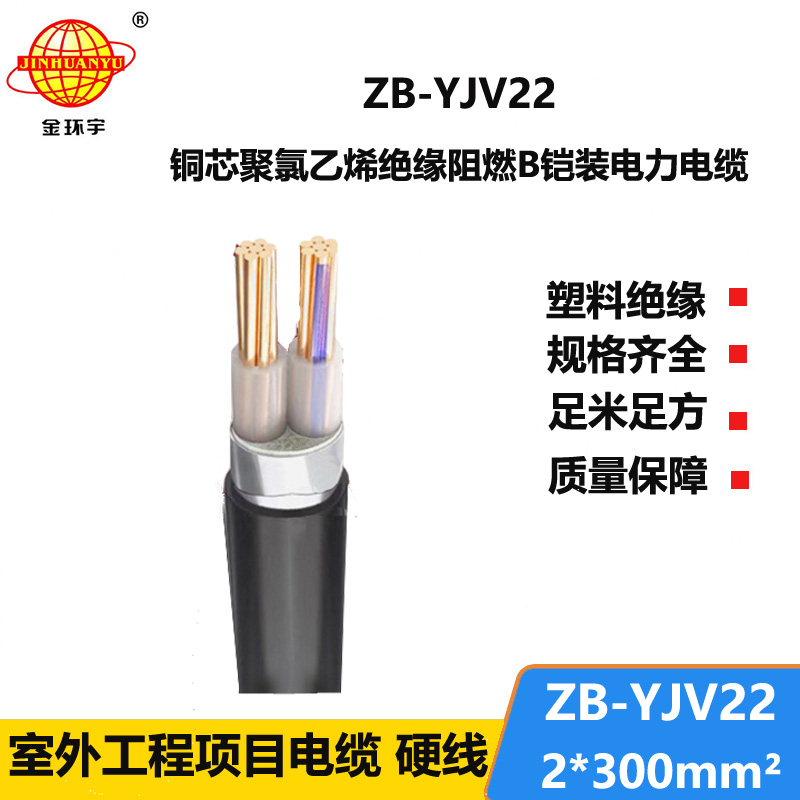 金环宇电缆 ZB-YJV22-2X300平方 b级阻燃电缆yjv22钢带铠装电缆