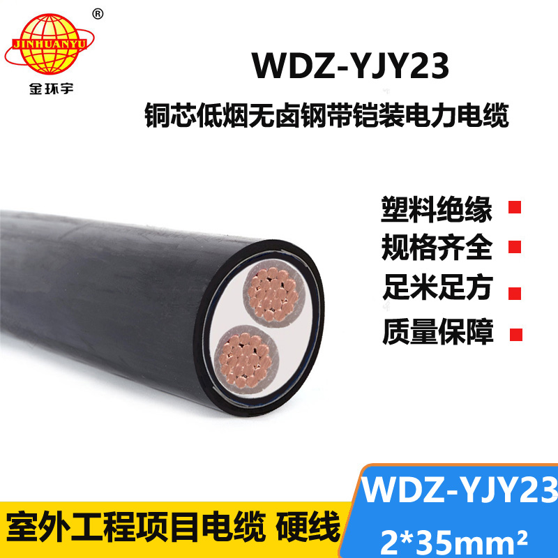 金环宇 2芯电力电缆 低烟无卤铠装电缆WDZ-YJY23-2X35平方