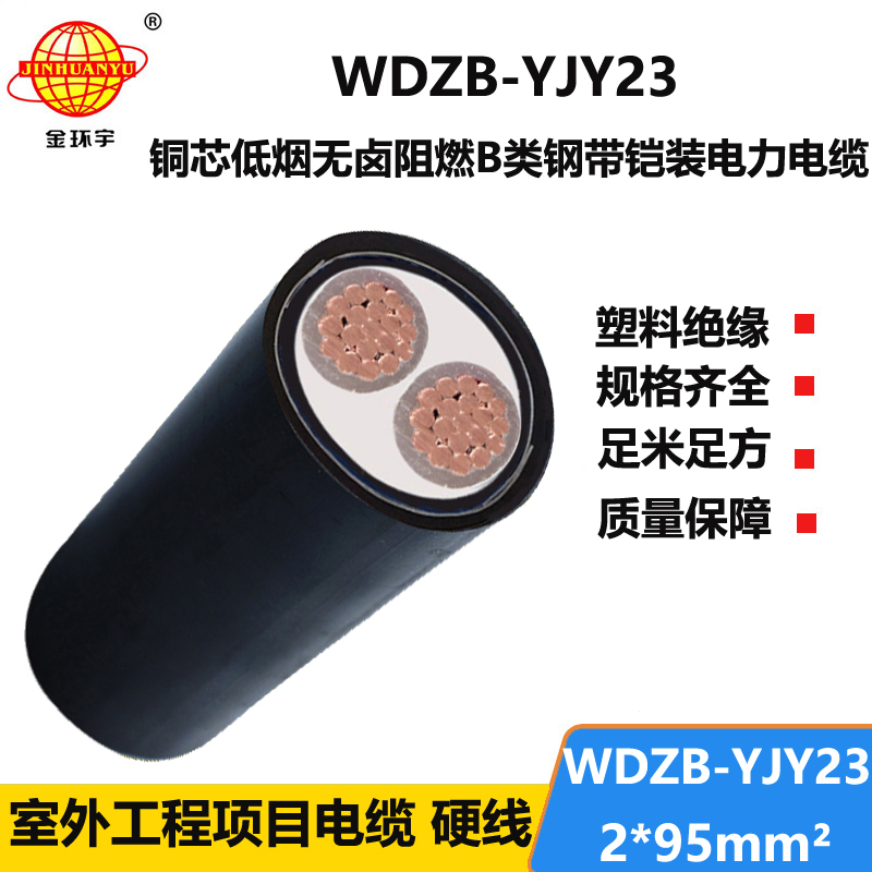 金环宇电缆 环保低烟无卤阻燃铠装电缆WDZB-YJY23-2X95平方 电力电
